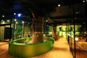 나무 둘레 볼풀장이 있는 자연친화 키즈카페